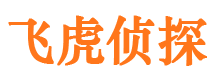 龙湖寻人公司